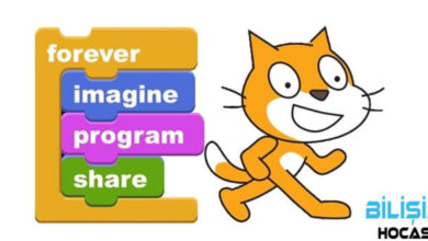 Scratch Dyk Kurs Planı