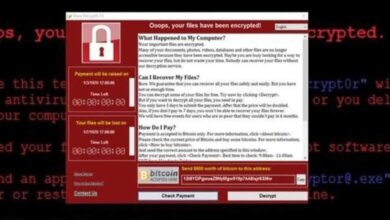 WannaCry Fidye virüsü