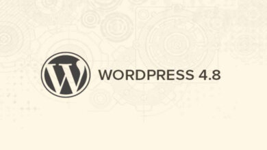 Wordpress 4.8 güncellemesi