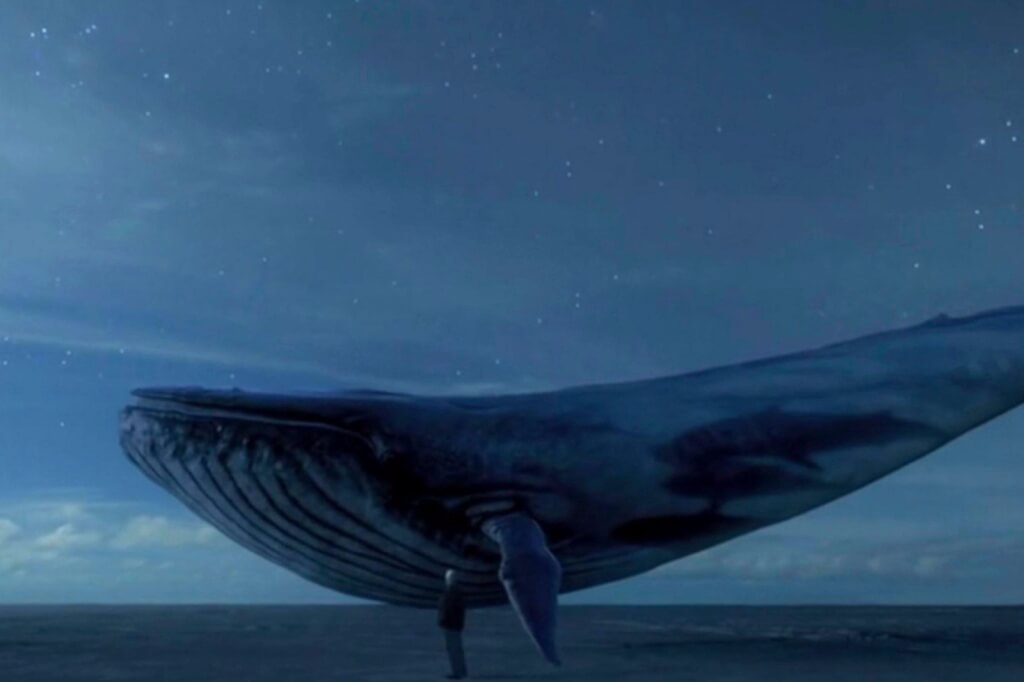 Blue Whale