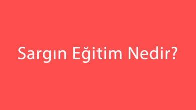 Sargın Eğitim Nedir