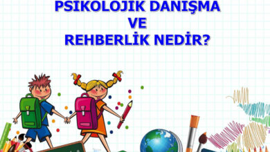 Psikolojik Danışmanlık ve Rehberlik